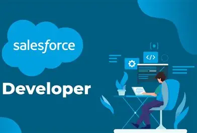 SalesForce Developer 